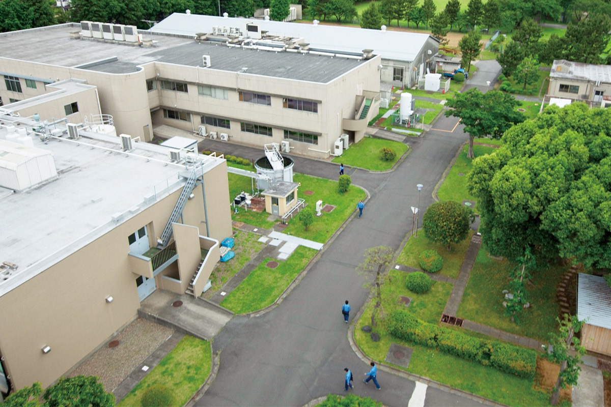 写真:市川研究センター